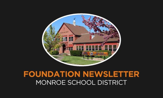 MSD Foundation Newsletter – November 2024