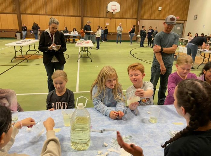 Science Night Activities
