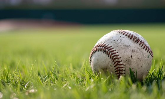 Monroe High School Baseball Fundraiser (February 2026)